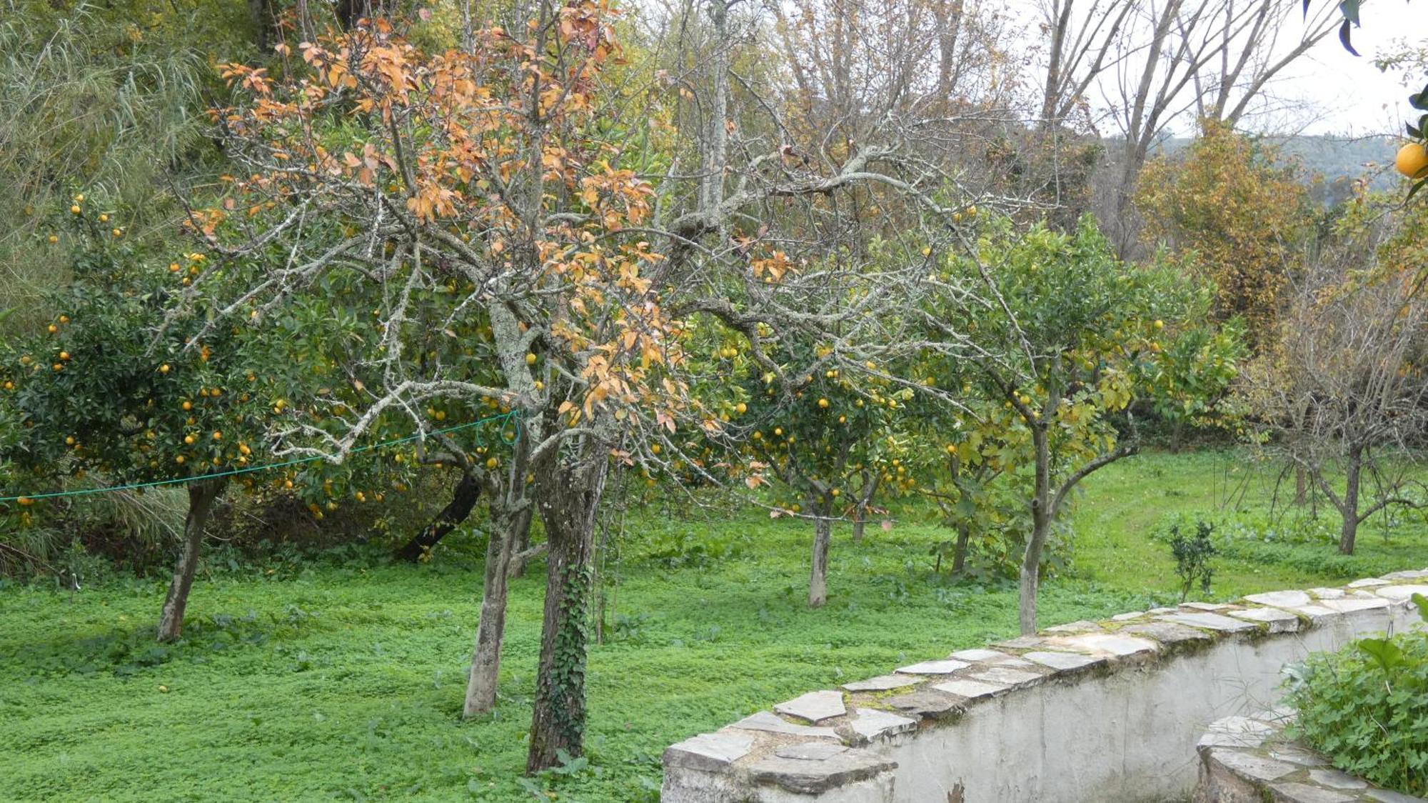 Casa Rural El Riandero Linares de la Sierra Exterior photo